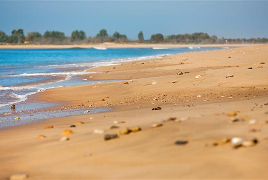 coquillage et sable fin de vendée  - Camping La Siesta | La Faute sur Mer