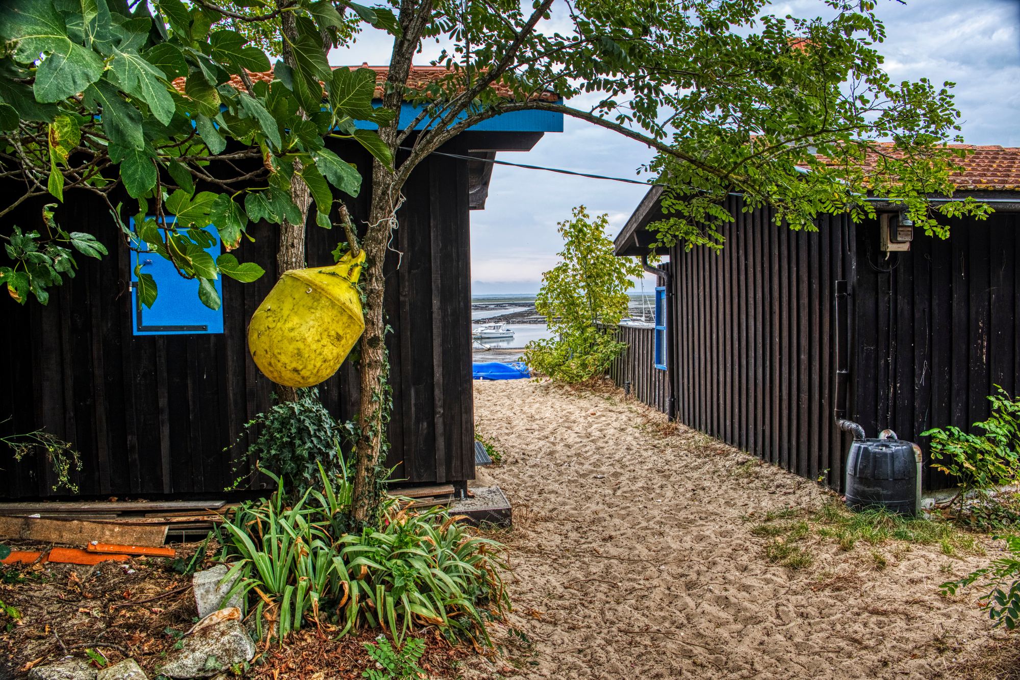 Cabanes Port de l'Aiguillon