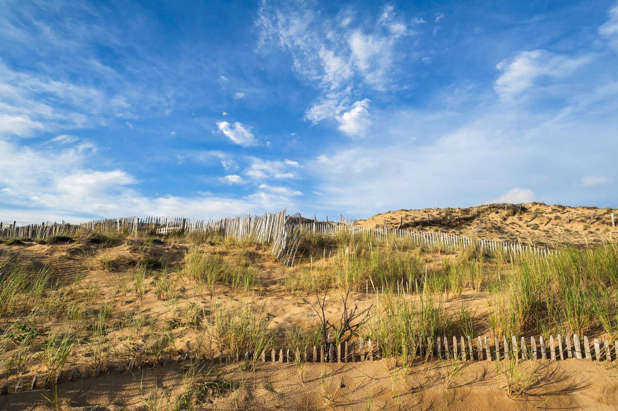 Dunes La Tranche sur Mer
