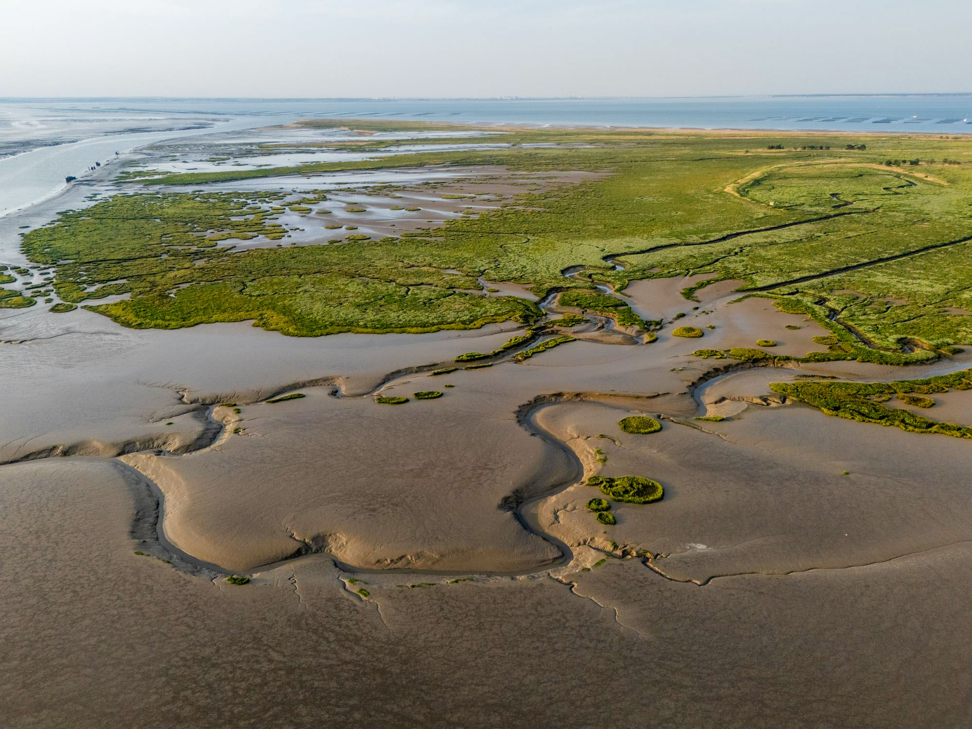 La Pointe d’Arçay vue u ciel