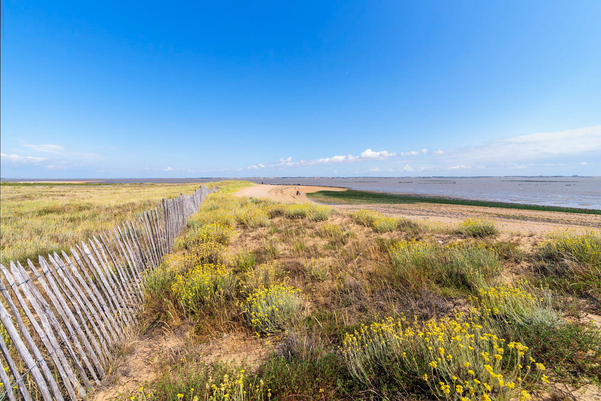 Plages proches de La Faute sur Mer