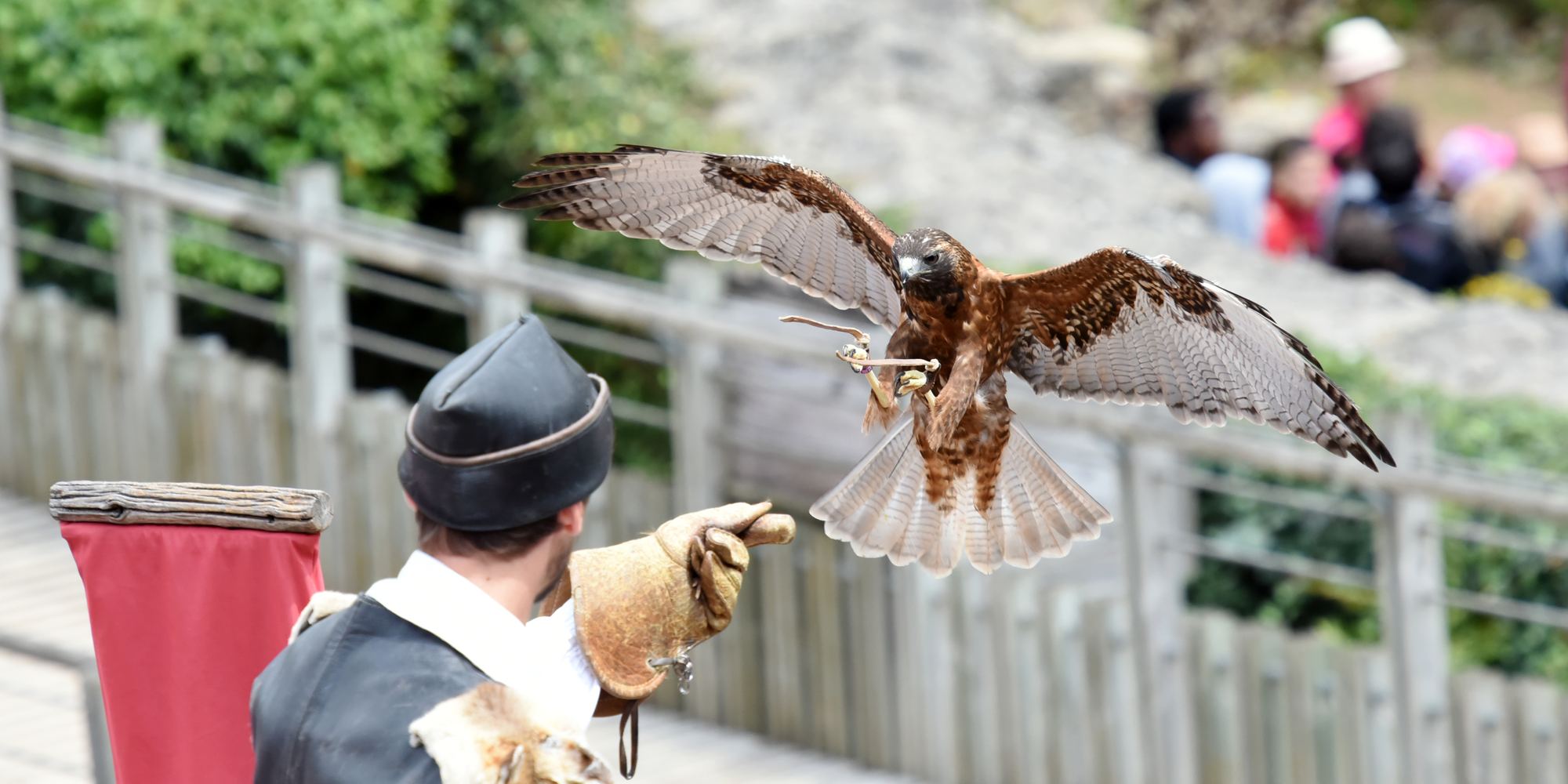 Spectacles Puy du Fou ()
