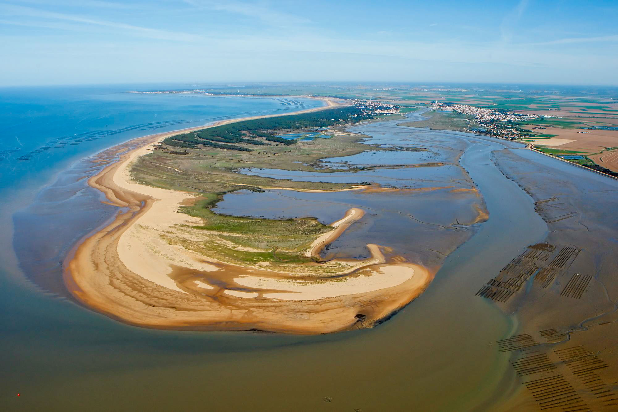 discover the Pointe d'Arçay