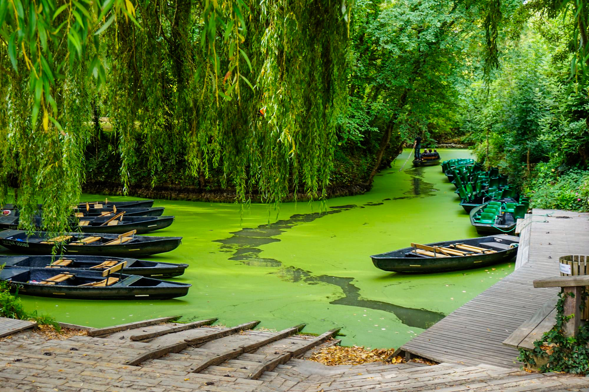 paysages Marais Poitevin