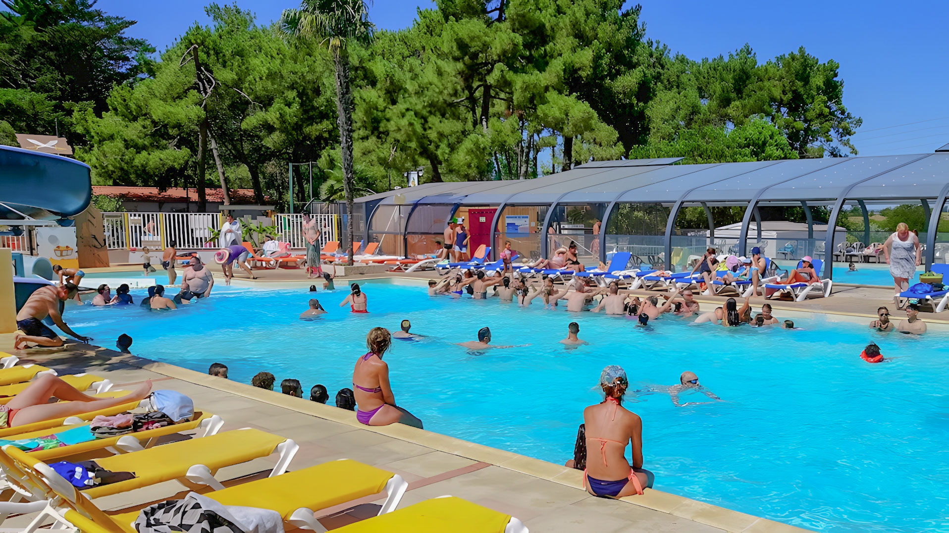 piscine animée camping vendée