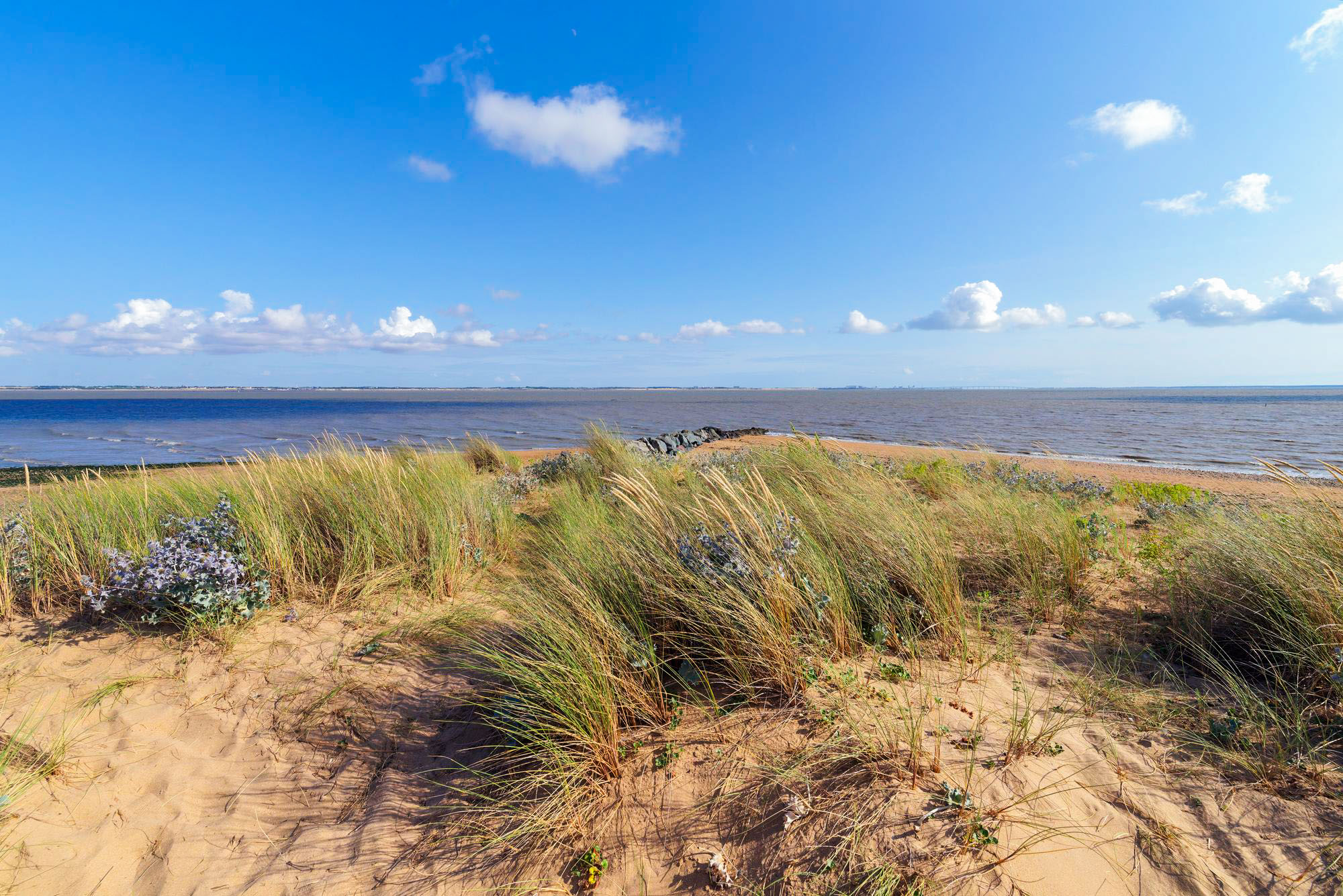 vue de la Pointe de l'Aiguillon